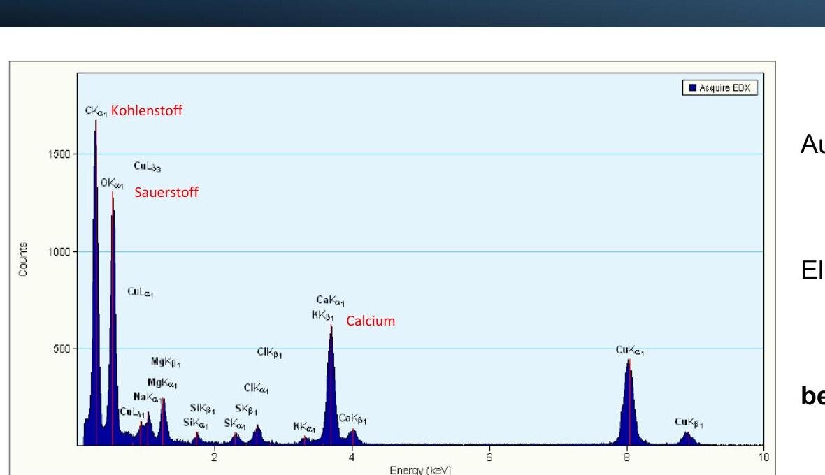 EDX-Spektrum nach STAP-Behandlung — Calcium-Peak deutlich reduziert, Kohlenstoff-Peak nun dominant